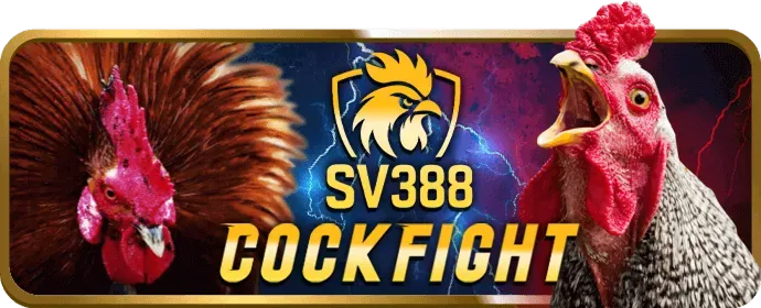 Hướng dẫn cách chơi bắn cá hiệu quả tại 888 slots